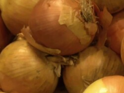 Pan over pile of onions Stock Footage