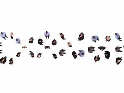 HD: Change Stock Footage