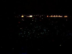 W/S EXT Concert Crowd Night Stock Footage