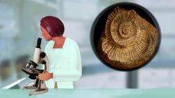 TED-ED: When will the next mass extinction occur? - Borths, D'Emic, and Pritchard Instructional Video