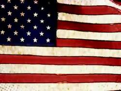 Stylised handdrawn lush organic american flag Stock Footage