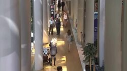 EU Parliament Building in Strasbourg Interior Timelapses News Clip