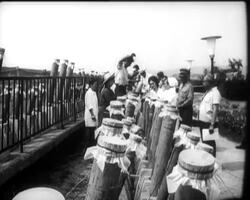 SAFETY IN FIREWORKS News Clip