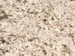 ECU of cotton falling into the compactor. Stock Footage