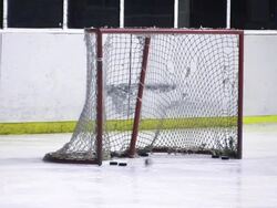 Ice Hockey (HD) Stock Footage