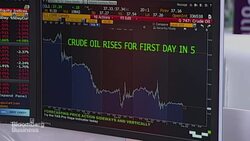 Central Banks Have Their Day in the Sun News Clip