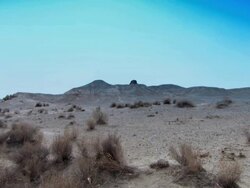 A still-view of a desert, with a light breeze rustling the desert flora.  Stock Footage
