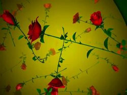(Loop) Falling Roses Stock Footage