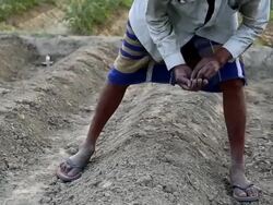 Planting Seed Stock Footage