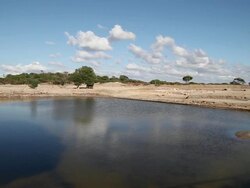 Mozia (Motya), the Cothon(inner harbor) Stock Footage