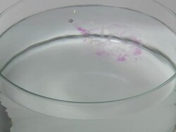 Potassium metal reacting with water. Stock Footage