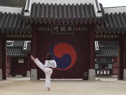  WS Girl doing taekwondo  / Kyungkido, Bucheon, South Korea Stock Footage