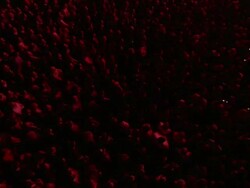 WS CS ZO  Audience at major rock concert and crowd initially washed in red light which then turning to blue / London, United Kingdom Stock Footage