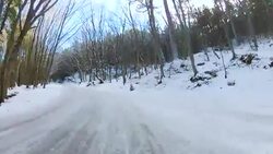 highway through a forest in winter, GoPro Stock Footage
