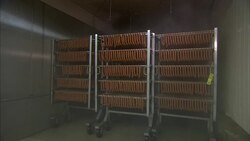 Steam billows past a rack of sausage links. Stock Footage