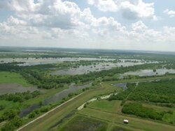 AERIAL WS  View green landscape side of river / New Orleans, Louisiana, United States Stock Footage