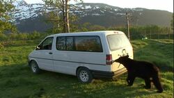 A bear circles a van. Stock Footage