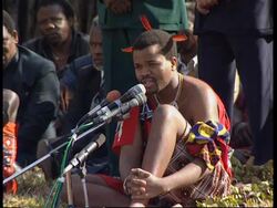 SWAZILAND: NEW RECOMMENDATIONS FOR DEMOCRATIC REFORMS Instructional Video