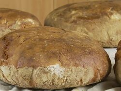 HD DOLLY: Fresh Baked Bio Peasant Bread Stock Footage