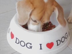 Delicious lunch time to eat Stock Footage