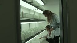 Genetically modified soya developed to tackle flooding and drought News Clip