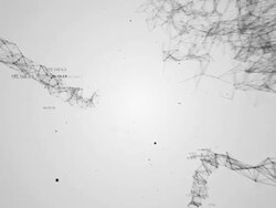 the white IP plexus Stock Footage