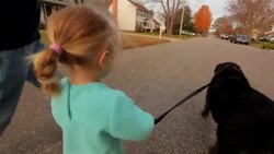 Young girl helps walk the family dog down a street in suburbia, USA Stock Footage