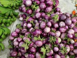 CU PAN Shot of colorful vegetables and fruits / Luang Prabang, Laos Stock Footage