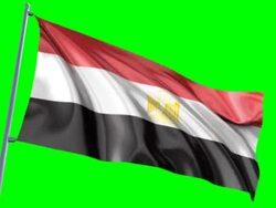 Egyptian Flag Stock Footage