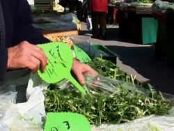 HD: Selling Endive Stock Footage