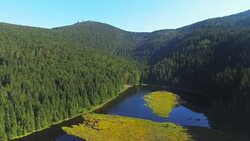 Lake Kleiner Arbersee And Its Floating Islands Stock Footage