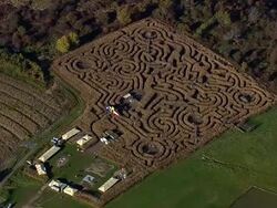 WS AERIAL View of New hampshire surrounded by fall in tree / Massachusetts, United States Stock Footage