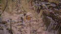 Recreated WW1 trenches in Ypres News Clip