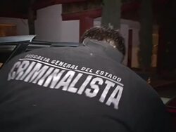 CU Shot of Mexican CSI examine on car AUDIO / Ciudad Juarez, Juarez, Mexico Stock Footage