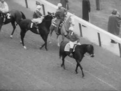93rd Kentucky Derby Run for the Roses Stock Footage