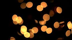 Bokeh lights Stock Footage