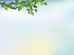 Old Hanging Wooden Sign Stock Footage