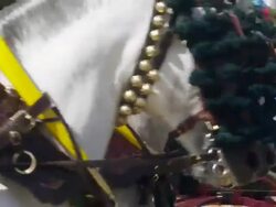 MS CU Horses bedecked in garlands during 'Feria festival  / Seville, Andalusia, Spain Stock Footage