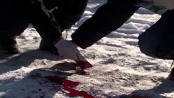 CLEAN : Ukraine activists target Deutsche Bank ove News Clip