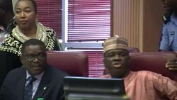 CLEAN : Nigeria says Ebola outbreak a challenge for world community News Clip