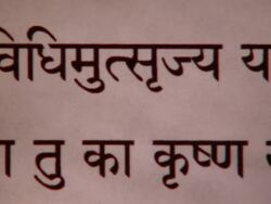 CU PAN Bhagavad Gita in Sanskrit / New York City, New York, USA  Stock Footage