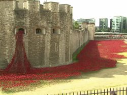 Poppy World War 1 memorial at the Tower of London News Clip