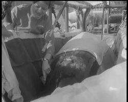 KILLER WHALE ARRIVES News Clip