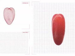 Heartbeat Status Monitor Stock Footage