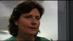 Heart examinations on male gorillas at zoo News Clip