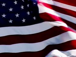 PAL: LOOP US FLAG. HD 1080P Stock Footage