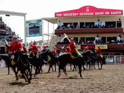 MS Show at Calgary Stampede / Calgary, Alberta, Canada  Stock Footage