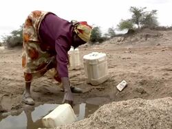 Woman collecting water from pond Stock Footage