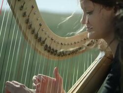 Outdoor Orchestra - Harp Stock Footage