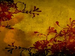 Romantic Ornament  Serie Stock Footage